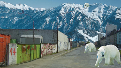 Auf der Fotomontage sind zwei Eisbären auf einer ansonsten leeren Straße zu sehen, die links von heruntergekommenen Industriegrundstücken und rechts von mehrstöckigen städtischen Wohnhäusern gesäumt ist. Im Hintergrund ist eine schneebedeckte Bergkette mit einem weitern Eisbären zu sehen.